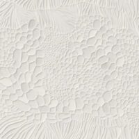 Ibero Biomim art natural